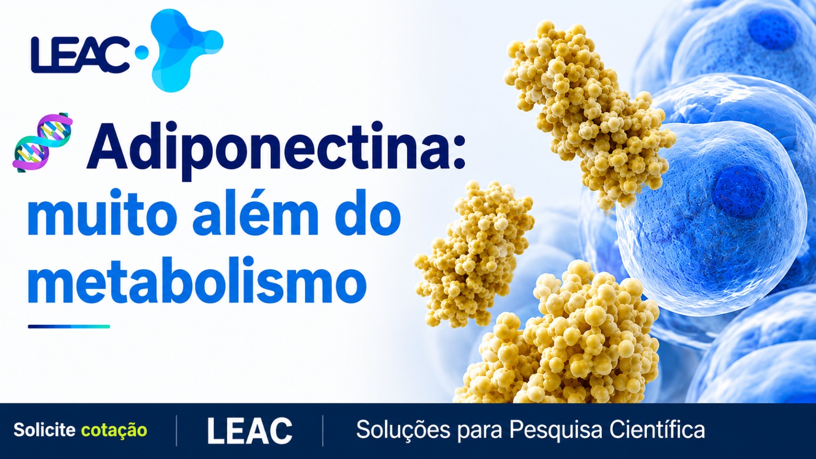 Adiponectina: um biomarcador importante para pesquisas metabólicas