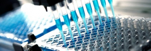 As 5 citocinas mais populares para o estudo de Inflamação.