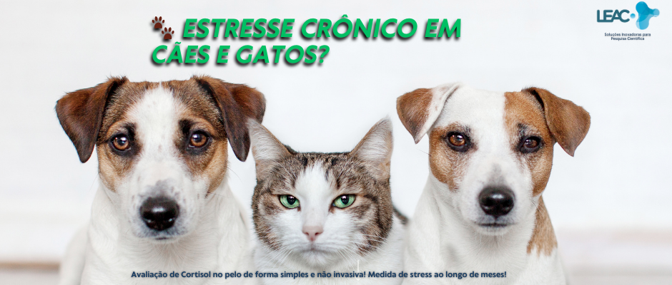 Avaliação do estresse crônico em cães e gatos: medindo o cortisol no pelo usando ELISA