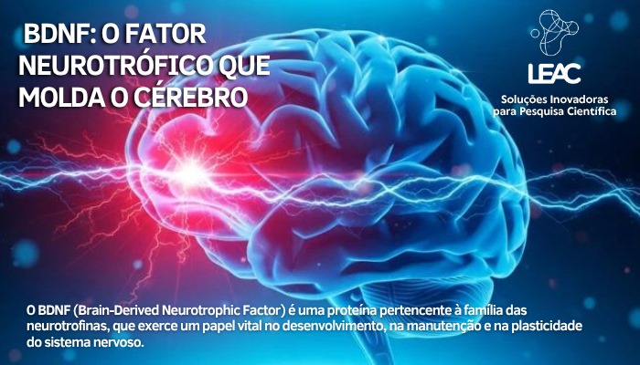 BDNF e suas implicações em saúde e doença