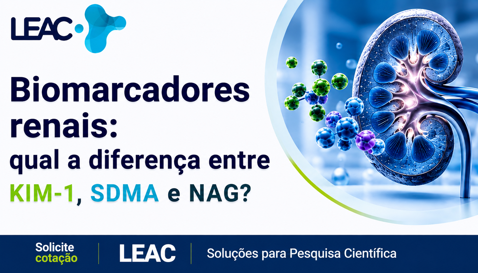 Biomarcadores renais: qual a diferença entre KIM-1, SDMA e NAG?