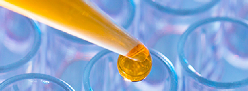 Ensaio ELISA Rapid Neurotrophin-4/5