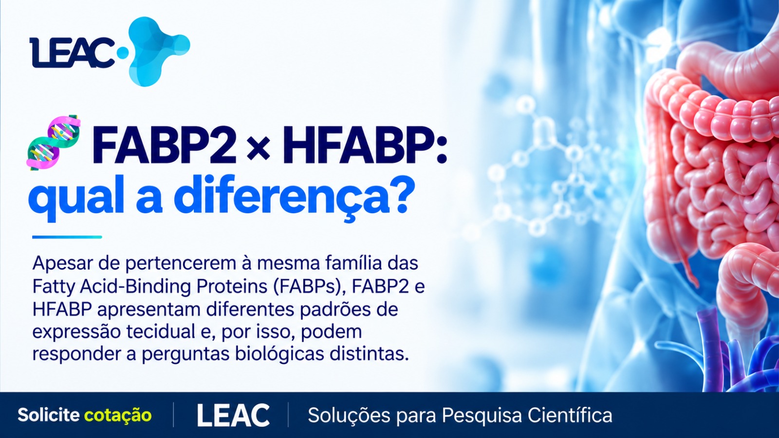 FABP2 e HFABP: qual é a diferença entre esses dois biomarcadores?