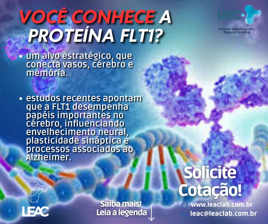FLT1: um alvo estratégico, que conecta vasos, cérebro e memória.