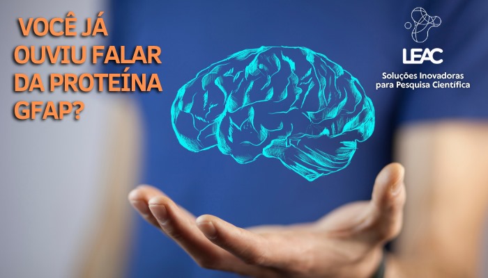 GFAP: Importância, Função e Aplicações em Pesquisa