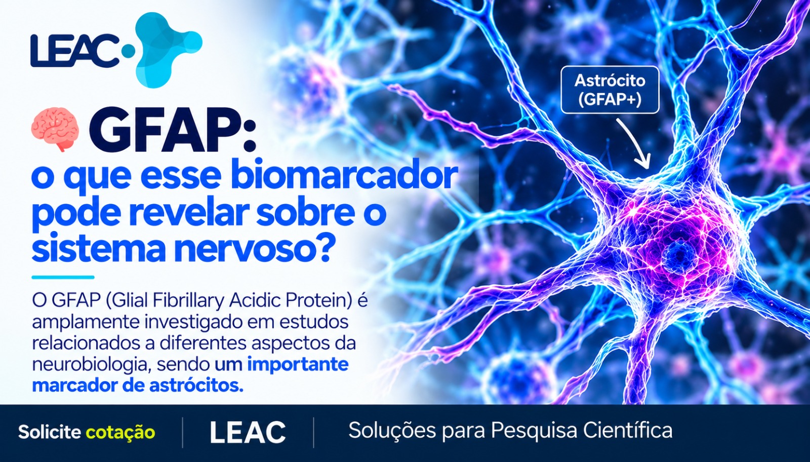 GFAP: o que esse biomarcador pode revelar sobre o sistema nervoso?
