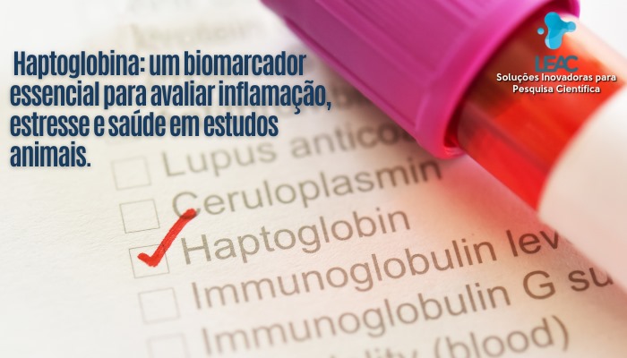 Haptoglobina: um biomarcador essencial para avaliar inflamação, estresse e saúde em estudos animais