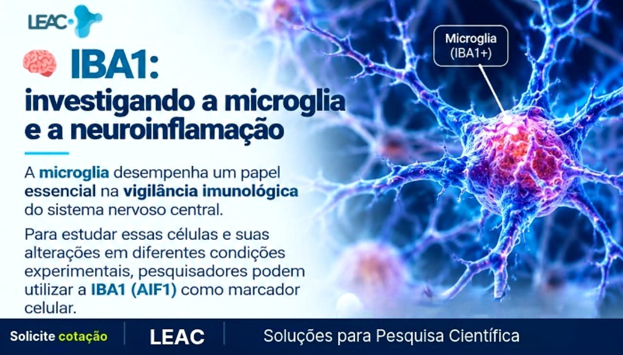 IBA1: investigando a microglia e a neuroinflamação