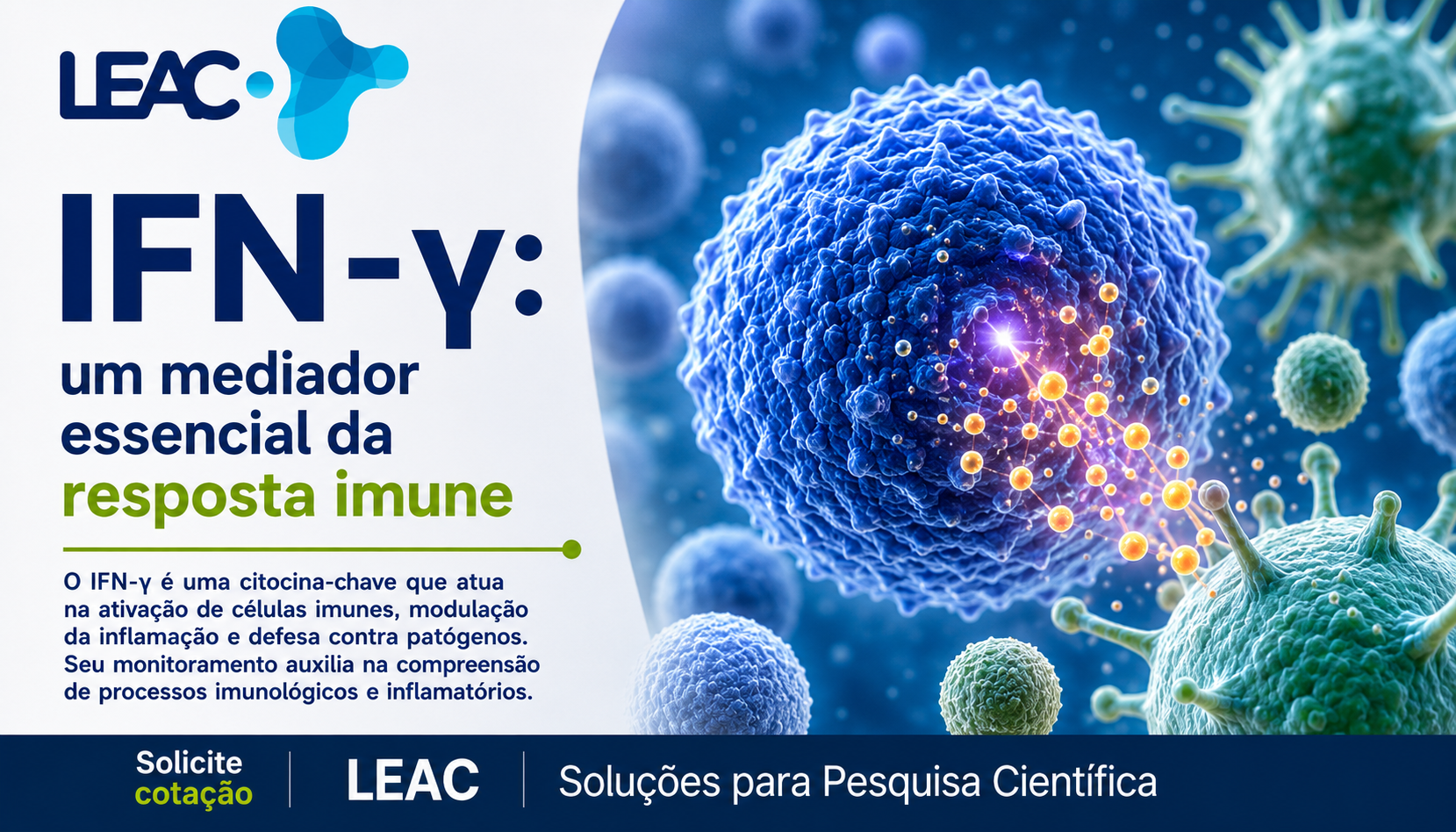 IFN-y: uma citocina-chave para compreender a resposta imune