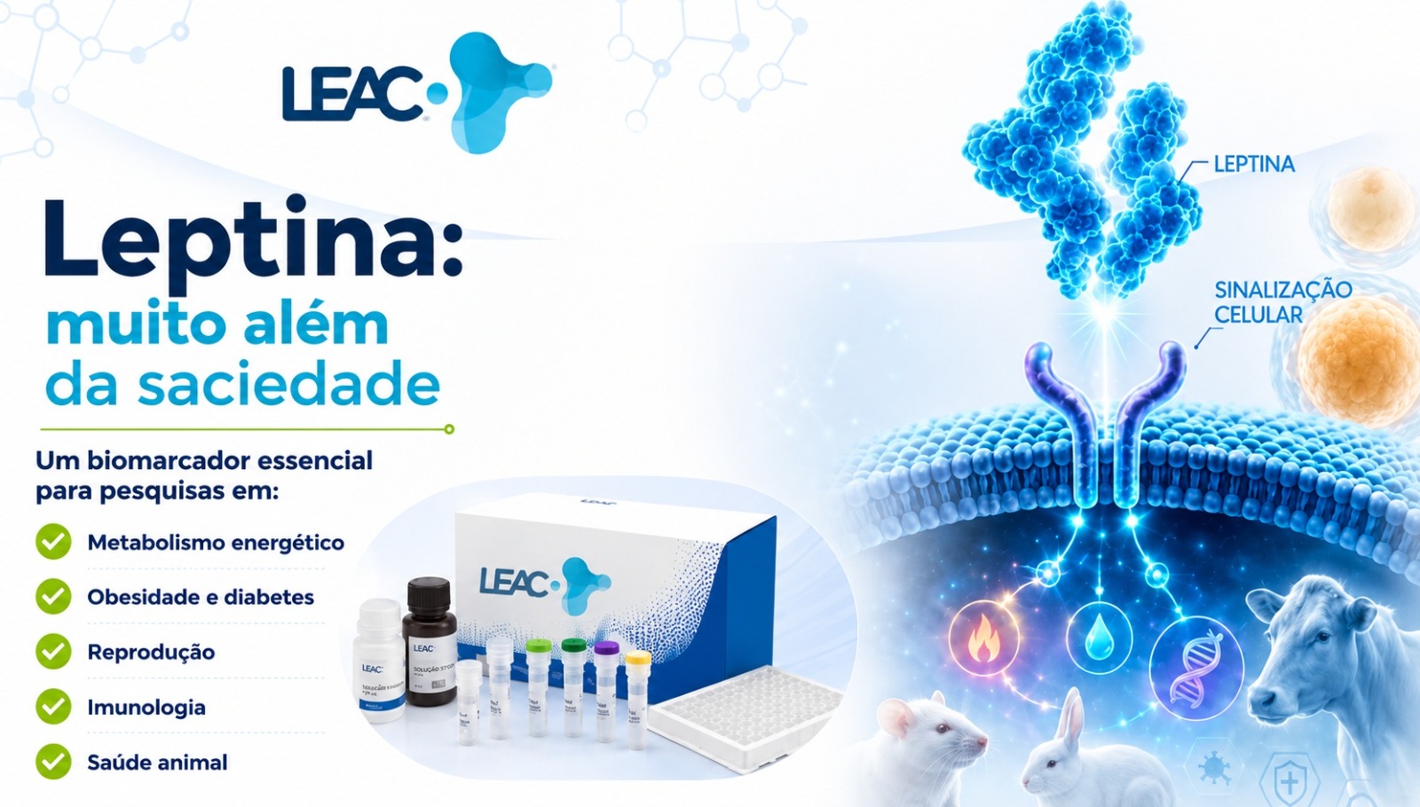 Leptina: um biomarcador essencial para pesquisas em metabolismo, reprodução e saúde animal