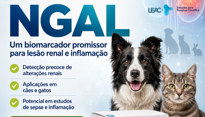 NGAL: um biomarcador emergente para pesquisas em nefrologia veterinária.