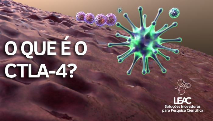 O que é o CTLA-4?