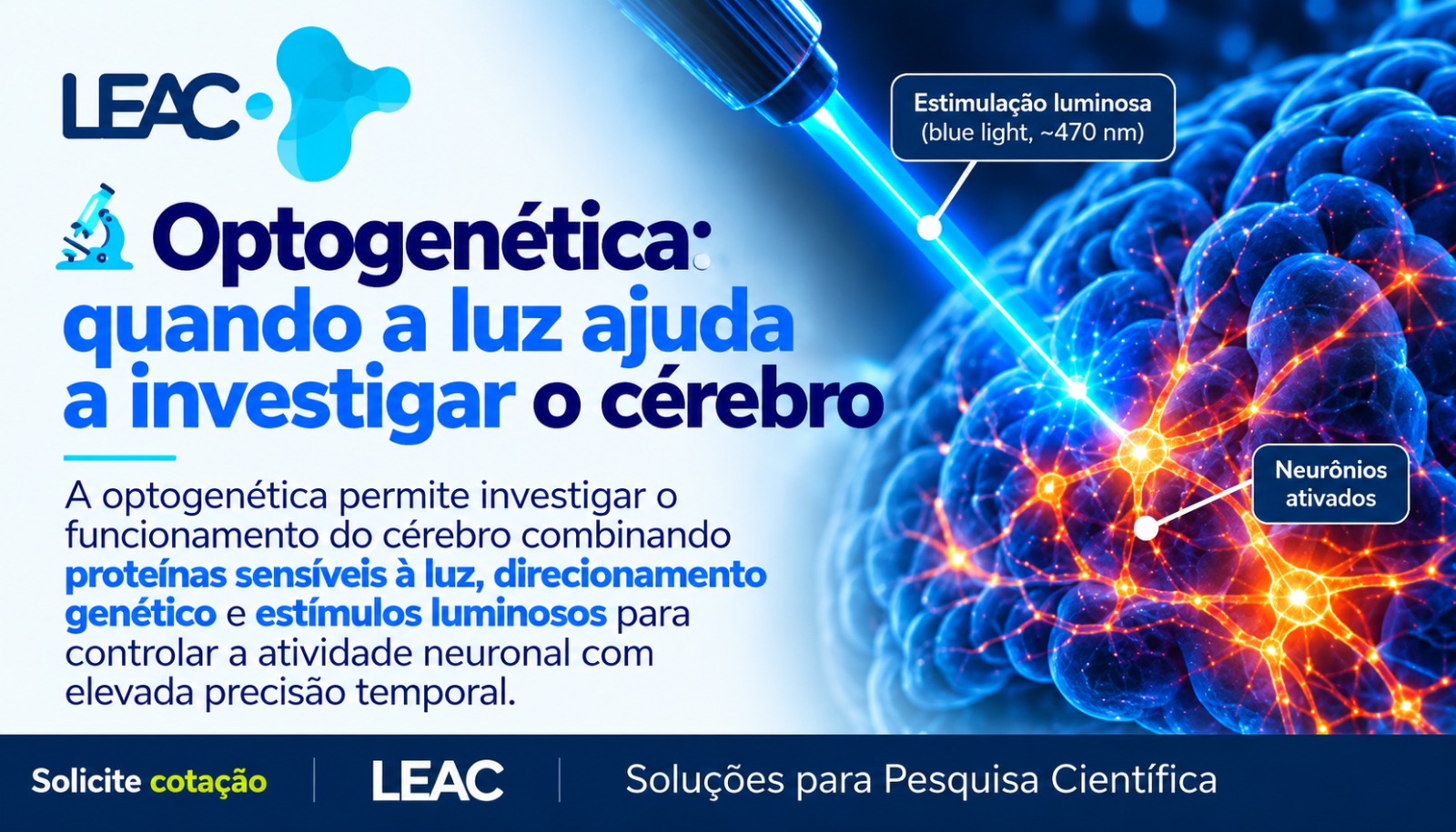 Optogenética: como a luz pode ajudar a desvendar os circuitos neurais