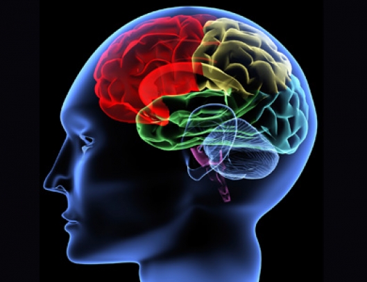 PAINÉIS HUMANO PARA PESQUISA DE DESORDENS NEUROLÓGICAS