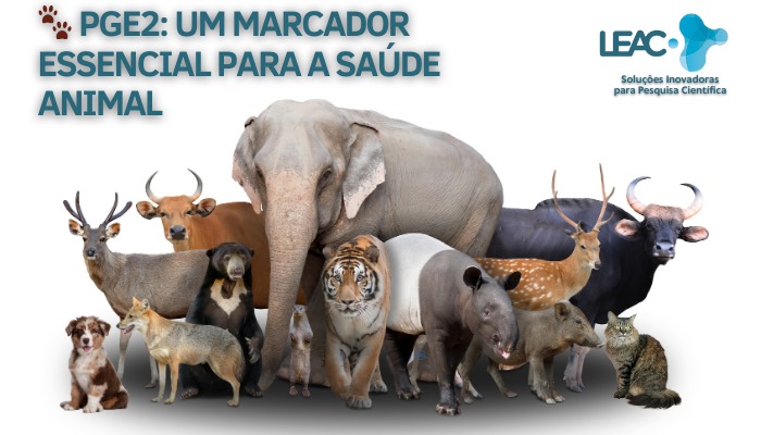 PGE2: Um marcador essencial para a saúde animal