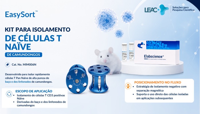 Por que preservar células T naïve é essencial para estudos em imunoterapia e biologia celular?