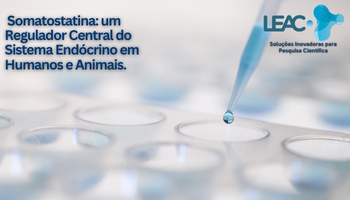 Somatostatina: um Regulador Central do Sistema Endócrino em Humanos e Animais