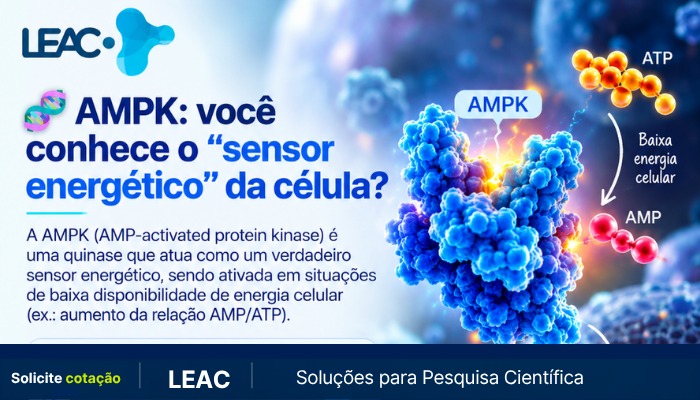 Fique por dentro das novidades com a Leac Lab | AMPK: o sensor energético das células 