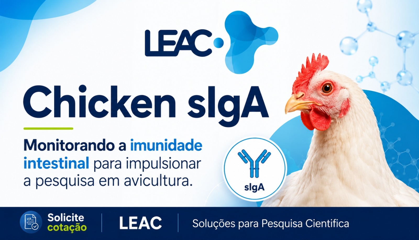 Fique por dentro das novidades com a Leac Lab | Chicken sIgA: monitorando a imunidade intestinal para impulsionar a pesquisa em avicultura 