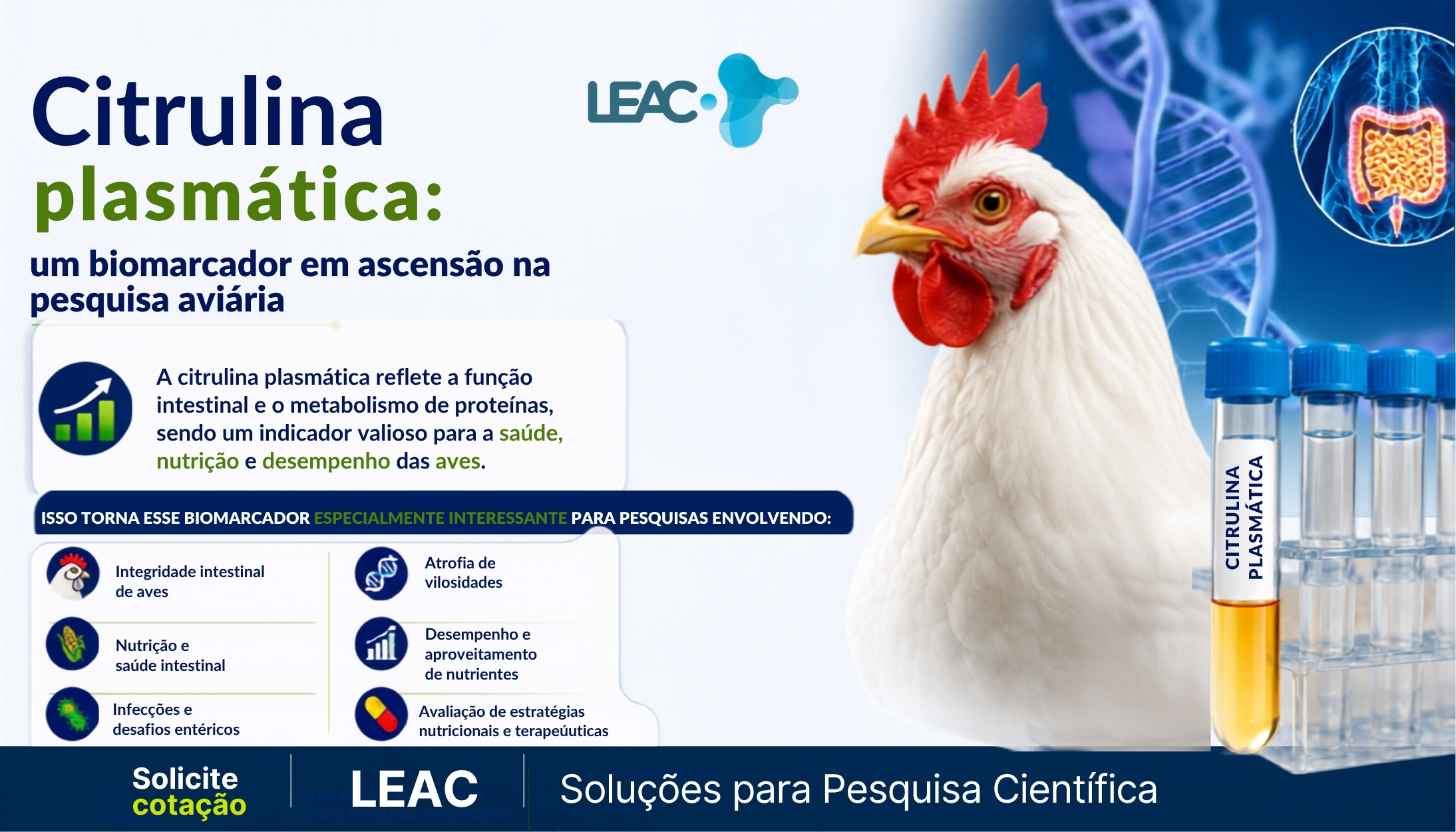 Fique por dentro das novidades com a Leac Lab | Citrulina plasmática: um biomarcador promissor para pesquisas sobre saúde intestinal em aves 