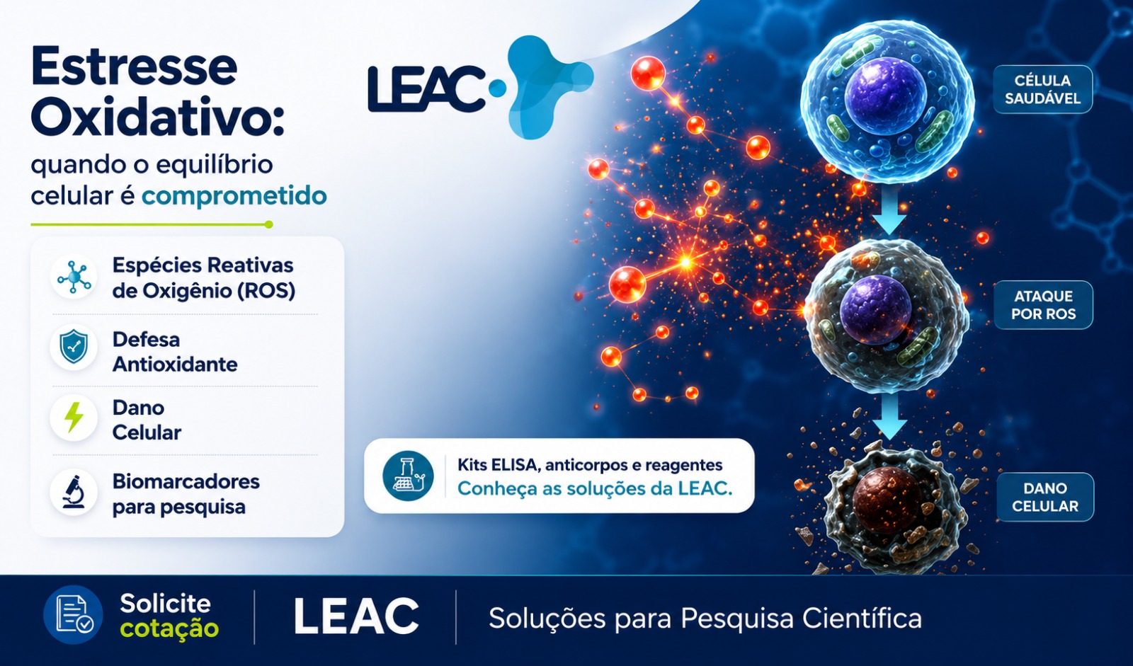 Fique por dentro das novidades com a Leac Lab | Estresse oxidativo: compreendendo um dos principais mecanismos envolvidos na saúde e na doença 