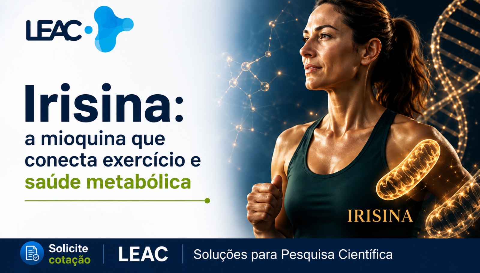 Fique por dentro das novidades com a Leac Lab | Irisina: a mioquina que está transformando as pesquisas sobre metabolismo e exercício físico 