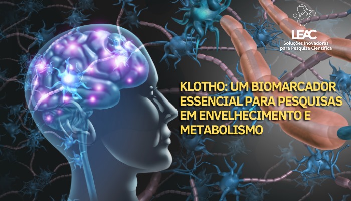 Fique por dentro das novidades com a Leac Lab | Klotho: um biomarcador essencial para pesquisas em envelhecimento e metabolismo 