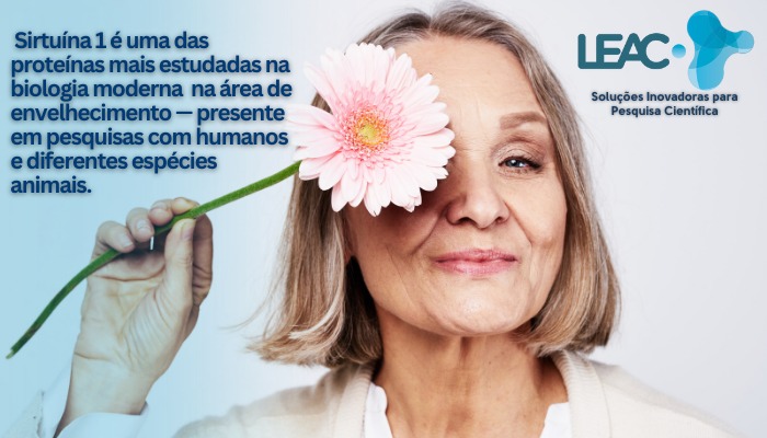 Fique por dentro das novidades com a Leac Lab | O que é a SIRT1? 