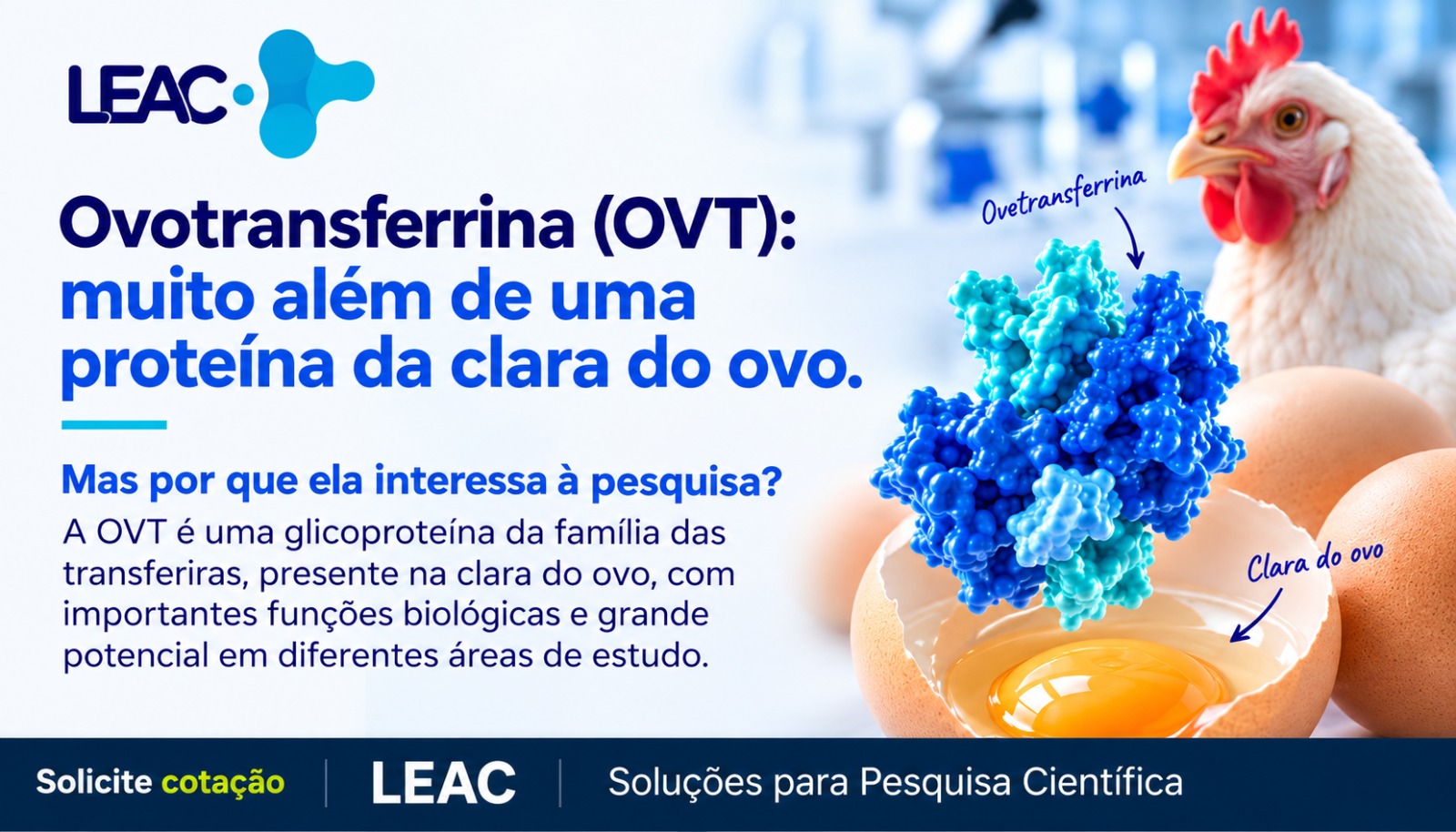 Fique por dentro das novidades com a Leac Lab | Ovotransferrina (OVT): muito além de uma proteína da clara do ovo 
