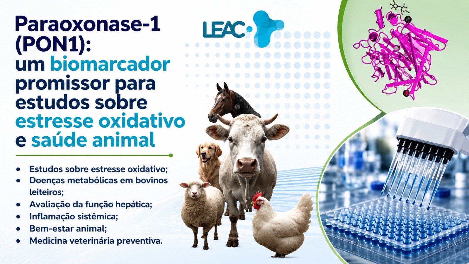 Fique por dentro das novidades com a Leac Lab | Paraoxonase-1 (PON1): um biomarcador promissor para estudos sobre estresse oxidativo e saúde animal 