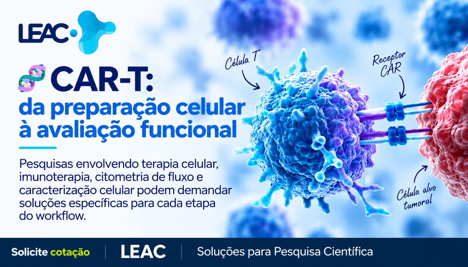 Fique por dentro das novidades com a Leac Lab | Pesquisa com células CAR-T: entenda as principais etapas do workflow experimental 