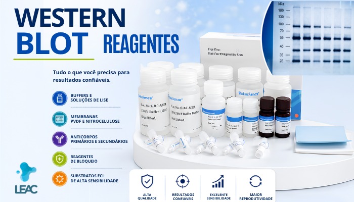 Fique por dentro das novidades com a Leac Lab | Reagentes para Western Blot: qualidade e confiabilidade em cada etapa da análise proteica 