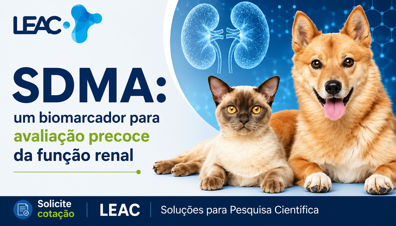 Fique por dentro das novidades com a Leac Lab | SDMA: um biomarcador importante para pesquisas sobre função renal em cães e gatos 
