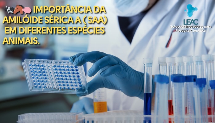 Fique por dentro das novidades com a Leac Lab | Serum Amyloid A (SAA): um biomarcador central para o monitoramento da inflamação em estudos animais 