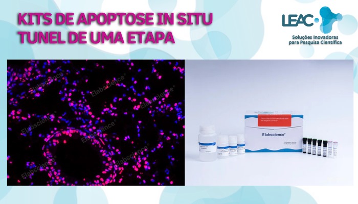 Fique por dentro das novidades com a Leac Lab | TUNEL Assay: Uma Ferramenta Essencial para a Pesquisa em Apoptose 