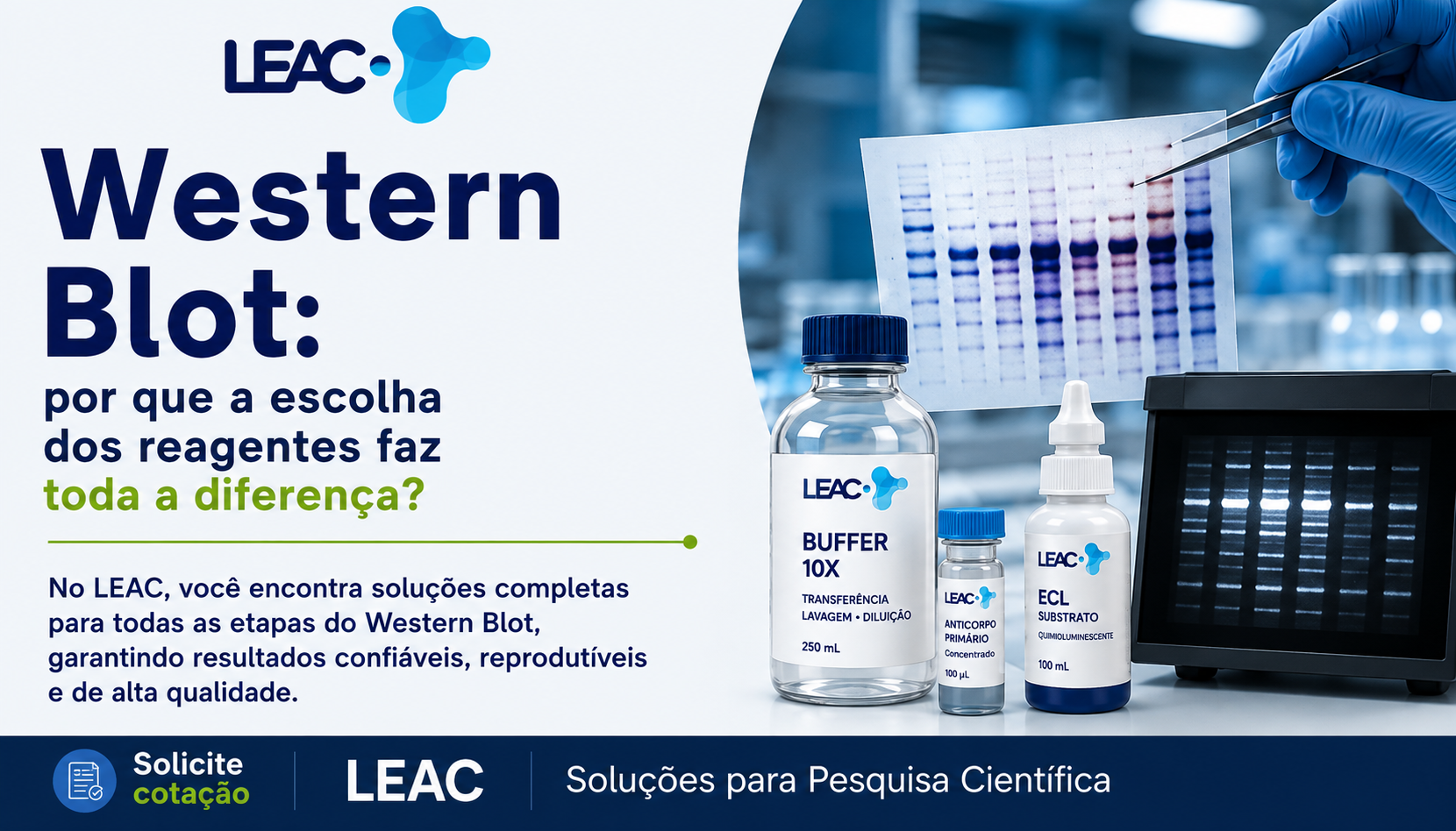 Fique por dentro das novidades com a Leac Lab | Western Blot: por que a escolha dos reagentes faz toda a diferença? 