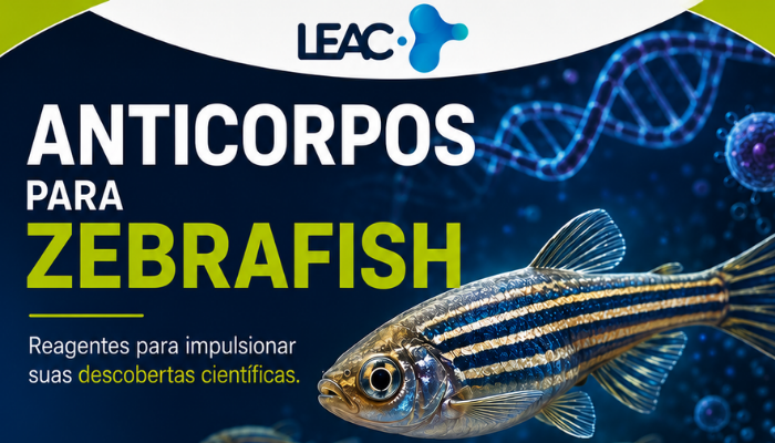 Fique por dentro das novidades com a Leac Lab | Zebrafish: um modelo poderoso para a pesquisa científica 