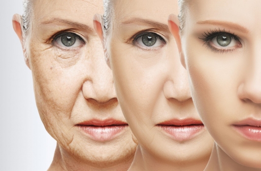 Klotho - Hormônio Anti-envelhecimento