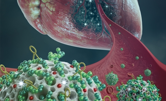 Novo tratamento tem em nanopartículas proteção para infartados