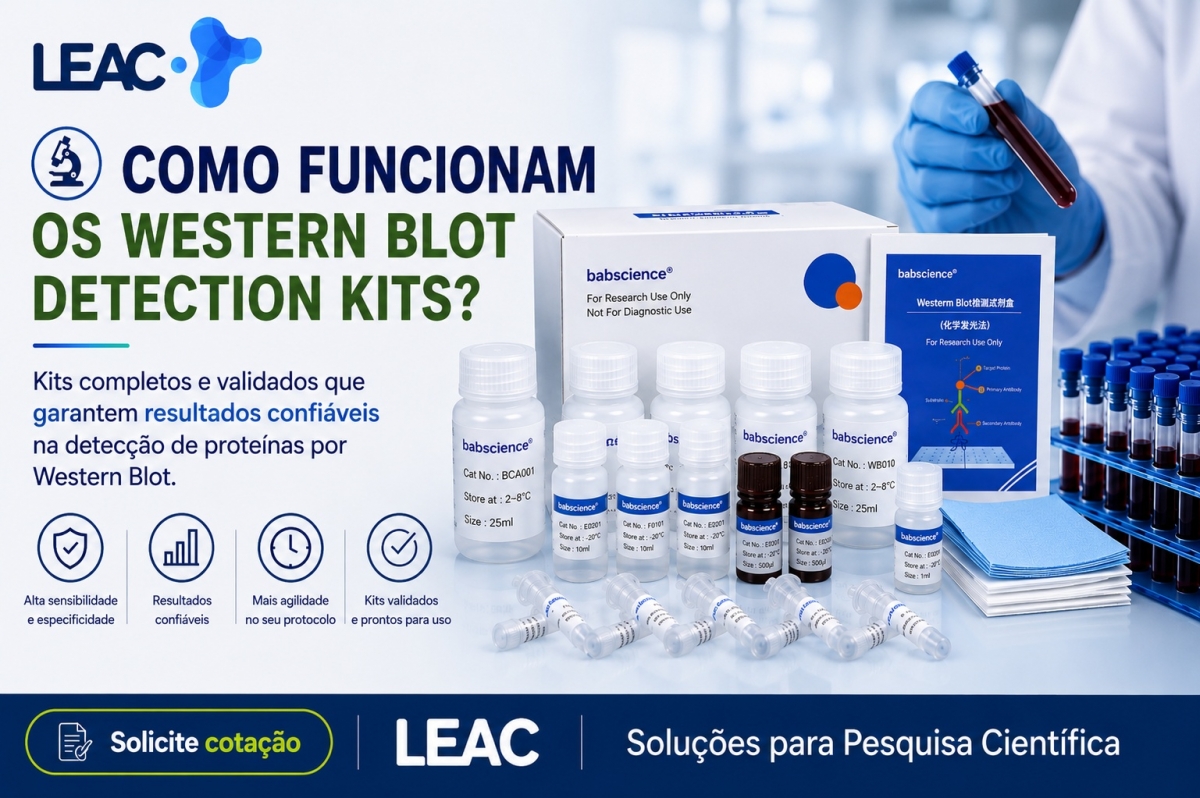 Western Blot | Leac Lab